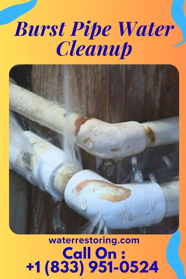 Burst Pipe Water Cleanup in Ophir, CO