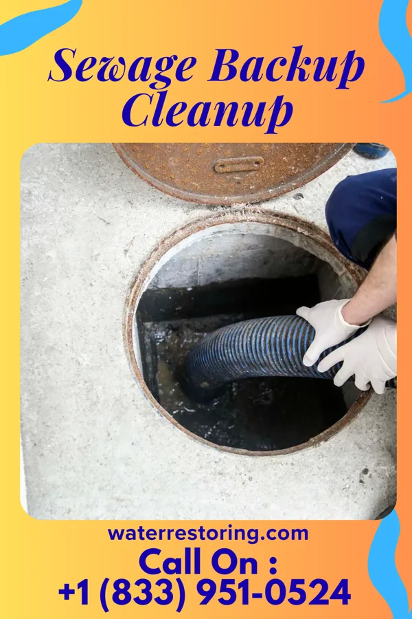 Sewage Backup Cleanup in Ophir, CO